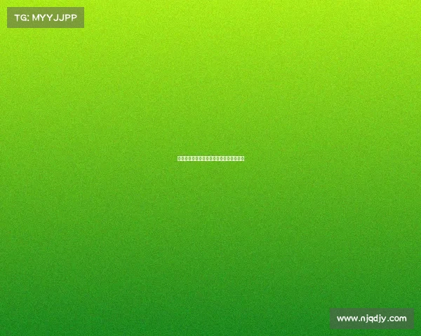 文旅盛宴创意赛事汇聚全球旅行达人竞风采